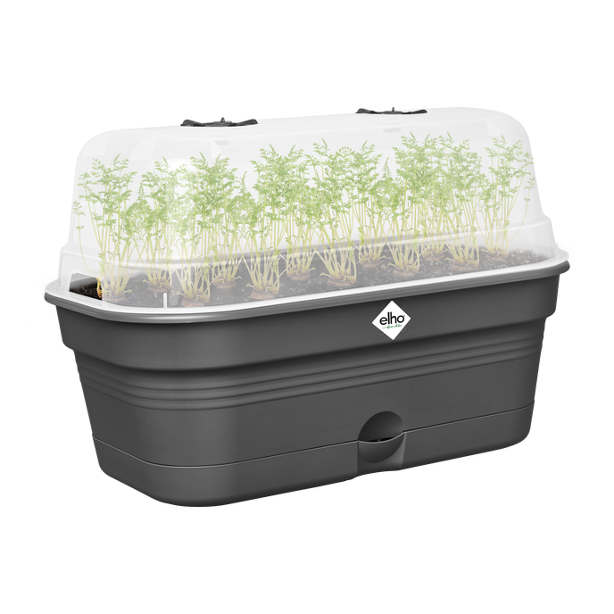 green basics grow tray allin1 l living black